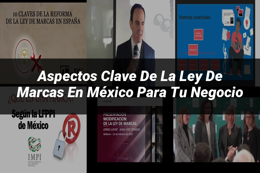 "Aspectos Clave de la Ley de Marcas en México para Tu Negocio"