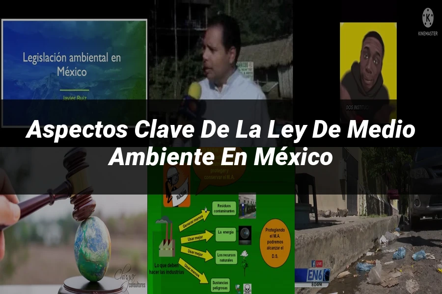 "Aspectos Clave de la Ley de Medio Ambiente en México"