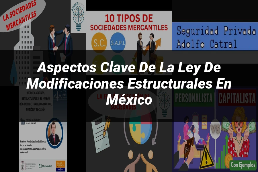 "Aspectos Clave de la Ley de Modificaciones Estructurales en México"