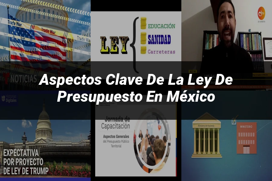 "Aspectos Clave de la Ley de Presupuesto en México"