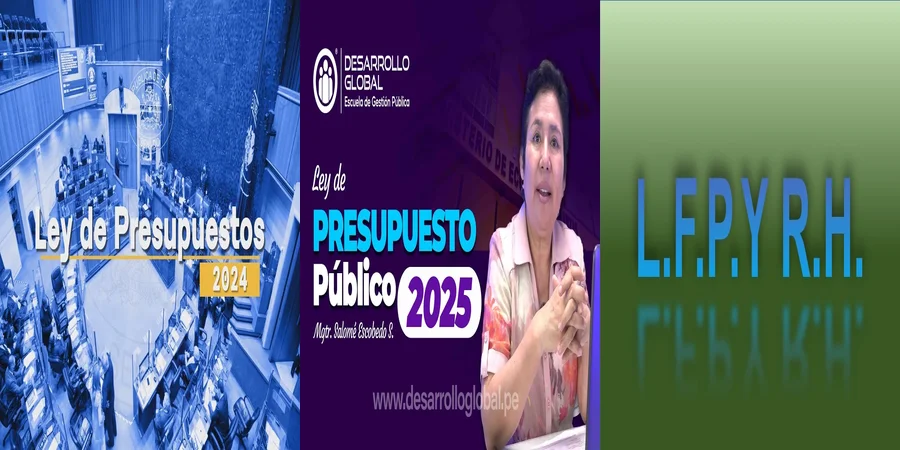 "Aspectos Clave de la Ley de Presupuesto en México"