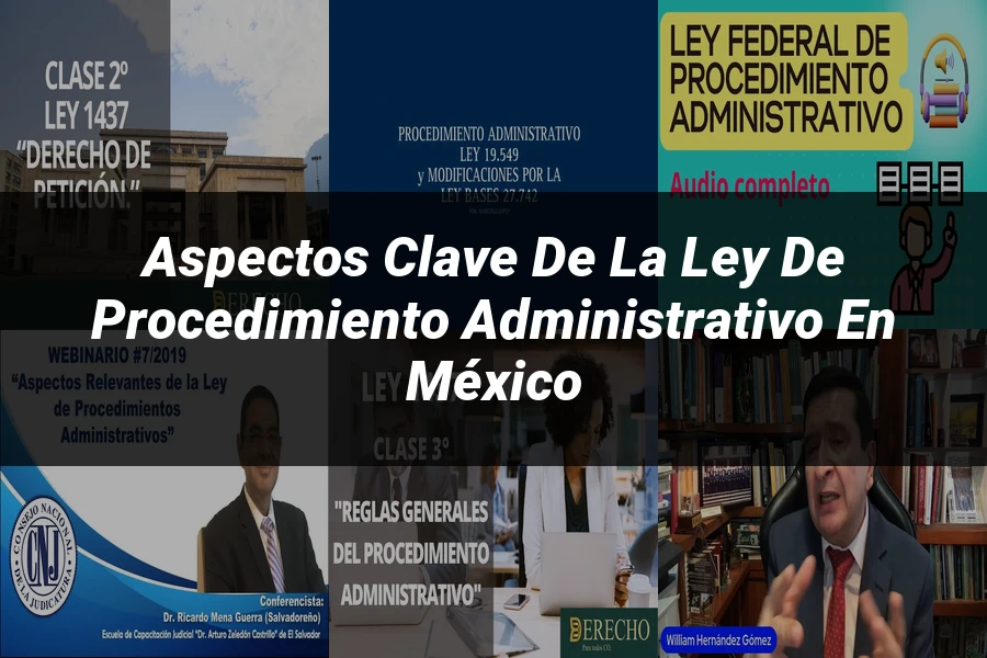 "Aspectos Clave de la Ley de Procedimiento Administrativo en México"