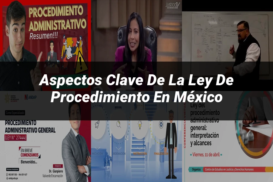 "Aspectos Clave de la Ley de Procedimiento en México"