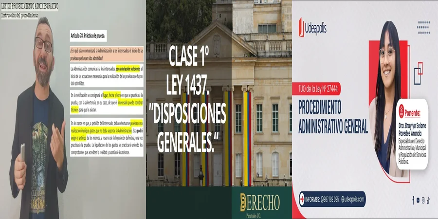 "Aspectos Clave de la Ley de Procedimiento en México"