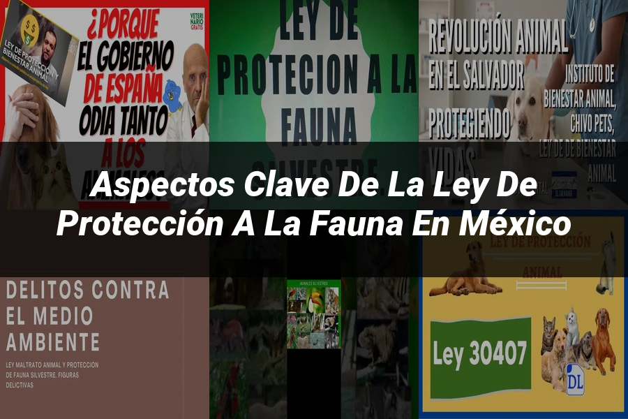 "Aspectos Clave de la Ley de Protección a la Fauna en México"