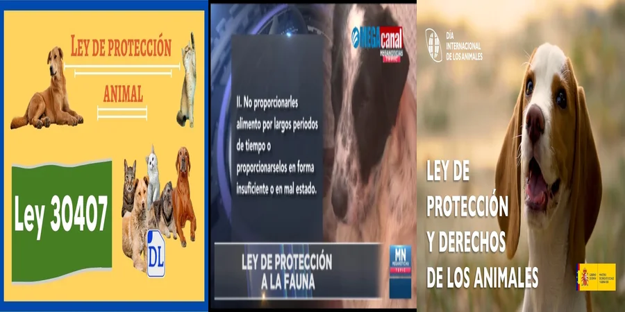"Aspectos Clave de la Ley de Protección a la Fauna en México"