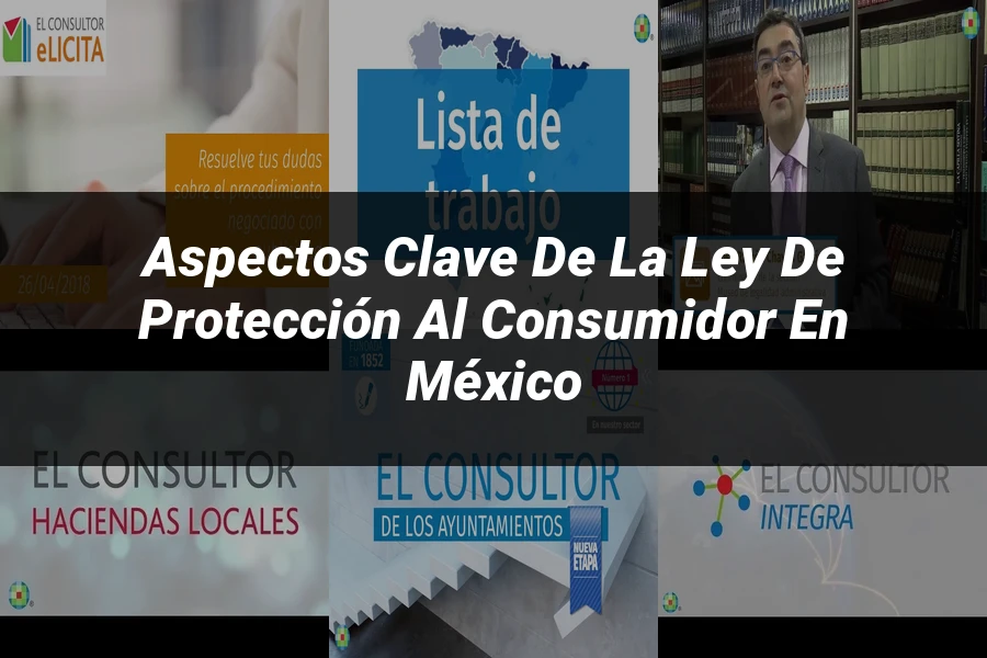 "Aspectos Clave de la Ley de Protección al Consumidor en México"