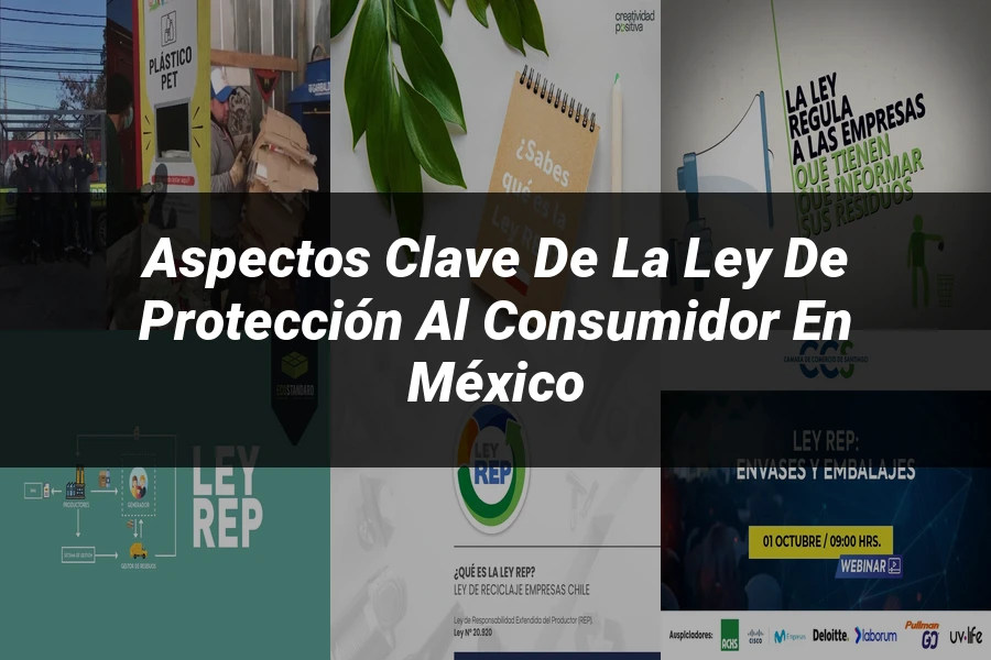 "Aspectos Clave de la Ley de Protección al Consumidor en México"