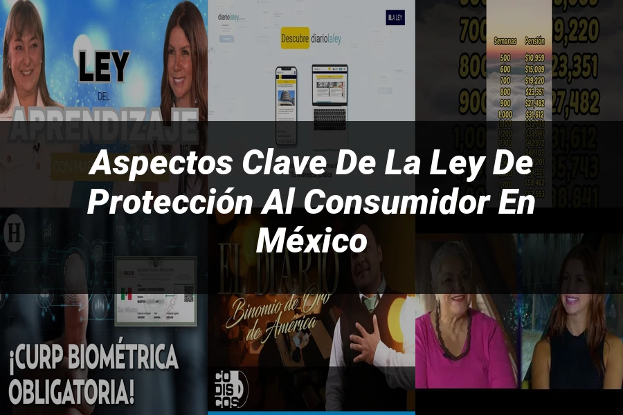 "Aspectos Clave de la Ley de Protección al Consumidor en México"