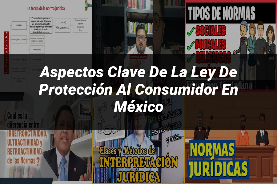 "Aspectos Clave de la Ley de Protección al Consumidor en México"