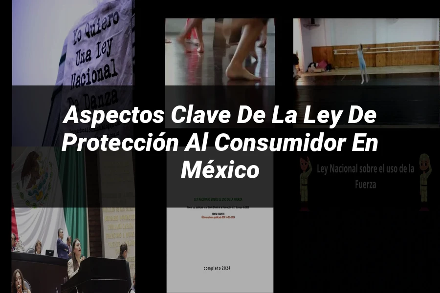 "Aspectos Clave de la Ley de Protección al Consumidor en México"