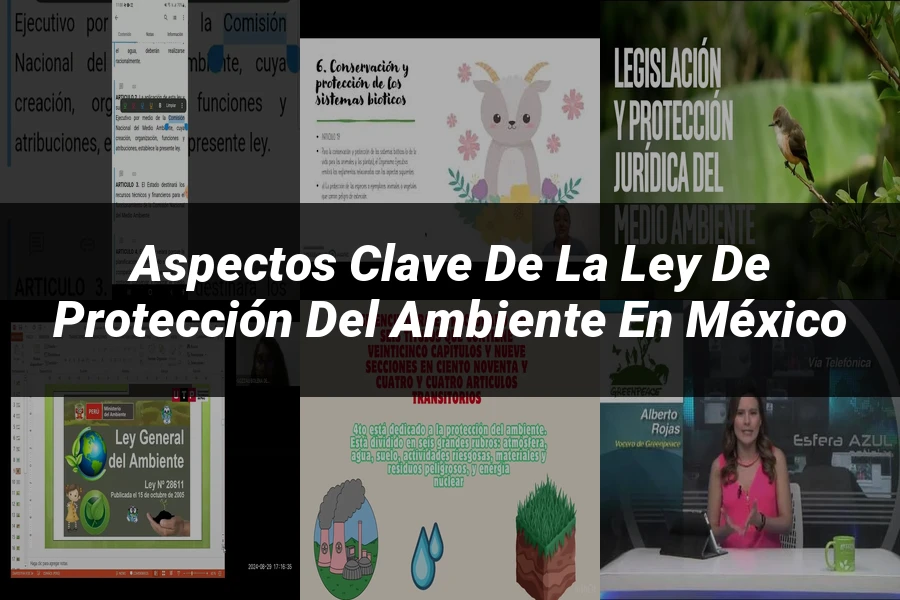 "Aspectos Clave de la Ley de Protección del Ambiente en México"