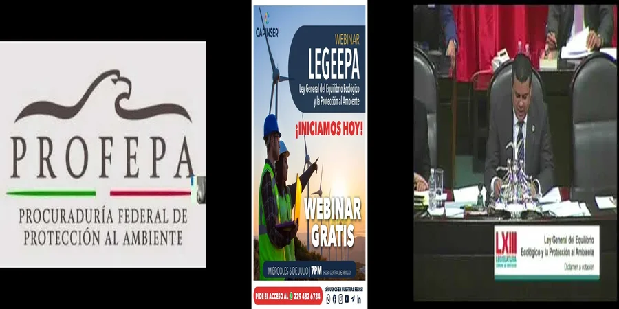 "Aspectos Clave de la Ley de Protección del Ambiente en México"
