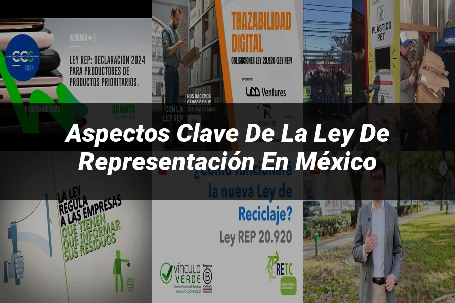 "Aspectos Clave de la Ley de Representación en México"