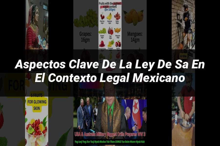 "Aspectos Clave de la Ley de SA en el Contexto Legal Mexicano"