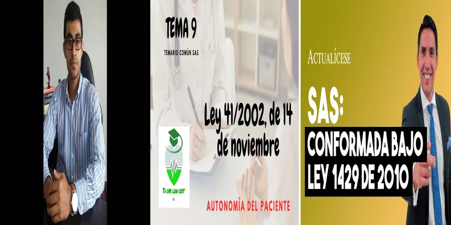 "Aspectos Clave de la Ley de Sas en el Contexto Legal Mexicano"