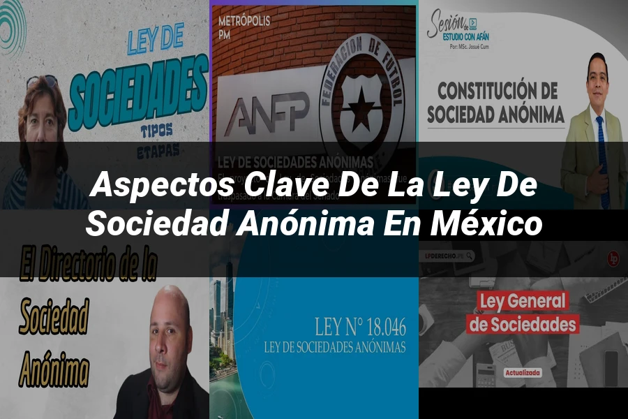 "Aspectos Clave de la Ley de Sociedad Anónima en México"