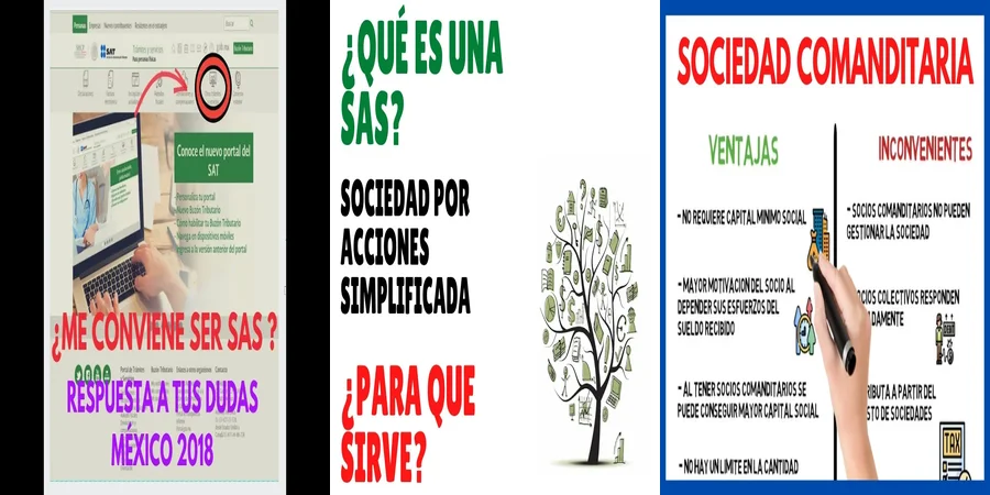 "Aspectos Clave de la Ley de Sociedad por Acciones en México"