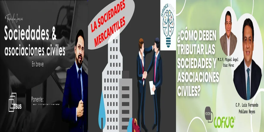 "Aspectos Clave de la Ley de Sociedades Civiles en México"