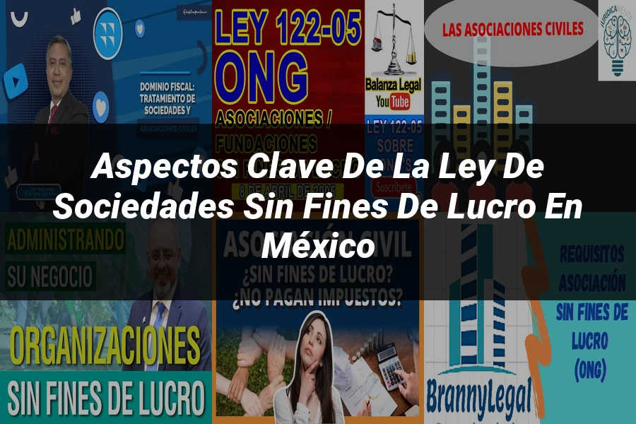 "Aspectos Clave de la Ley de Sociedades Sin Fines de Lucro en México"