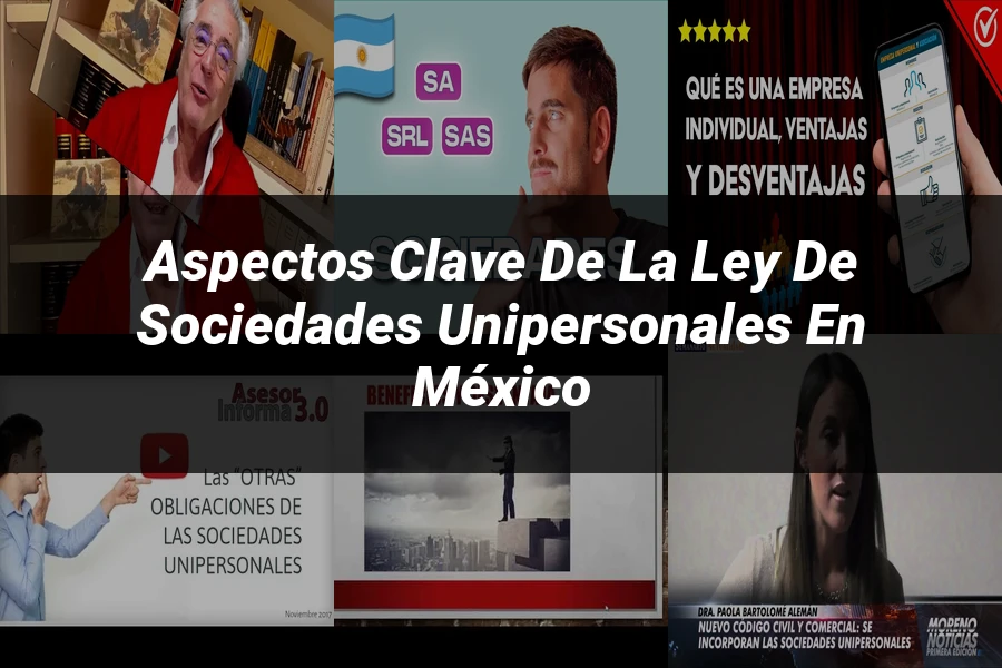 "Aspectos Clave de la Ley de Sociedades Unipersonales en México"