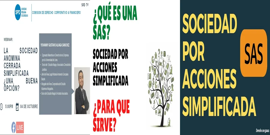 "Aspectos Clave de la Ley de Sociedades por Acciones en México"