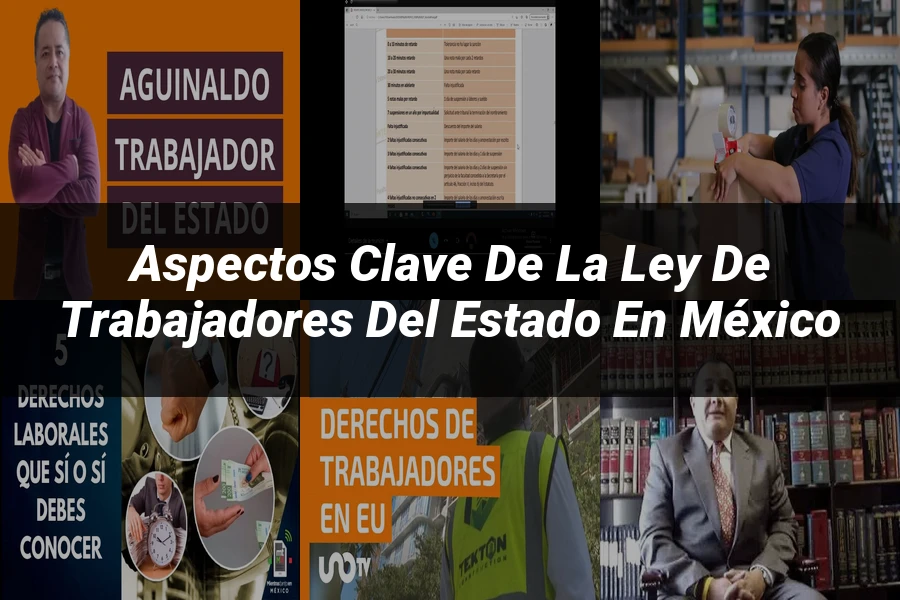 "Aspectos Clave de la Ley de Trabajadores del Estado en México"