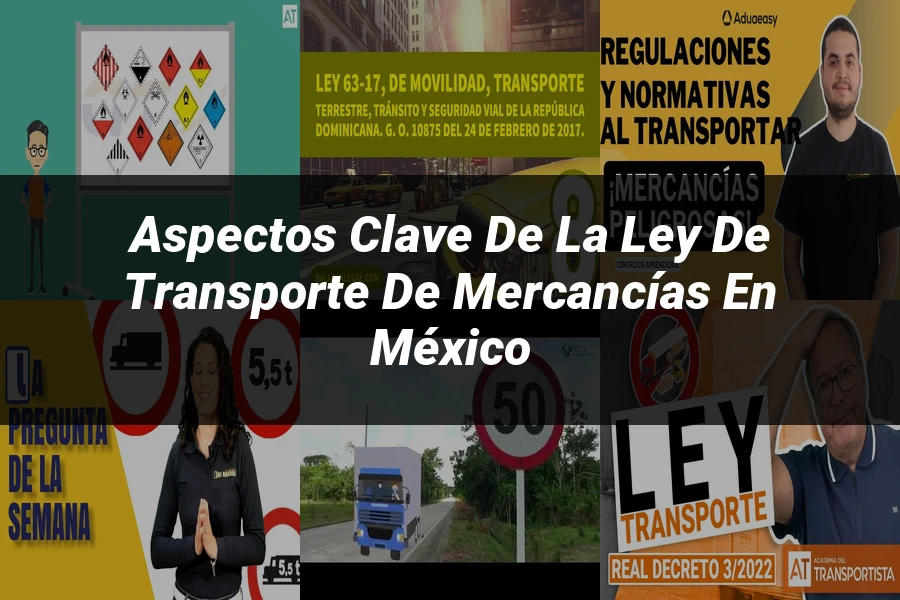 "Aspectos Clave de la Ley de Transporte de Mercancías en México"