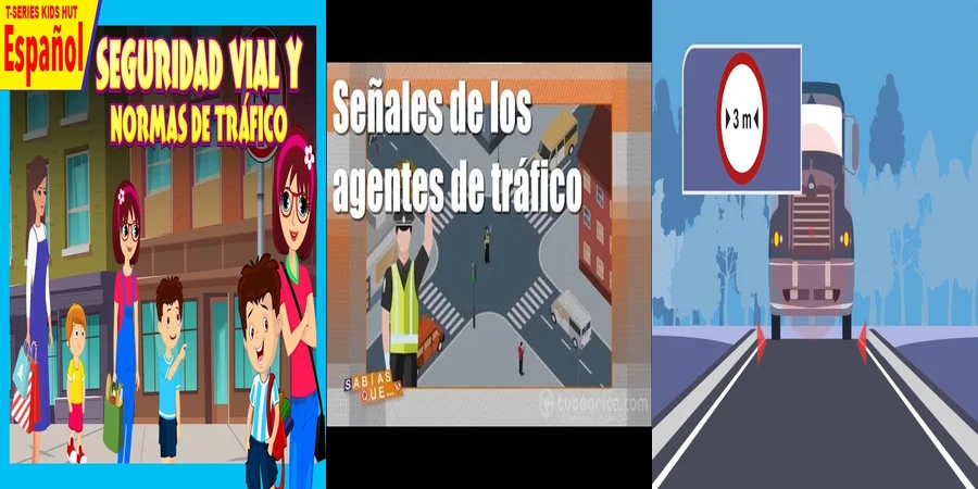 "Aspectos Clave de la Ley de Tráfico y Seguridad Vial en México"