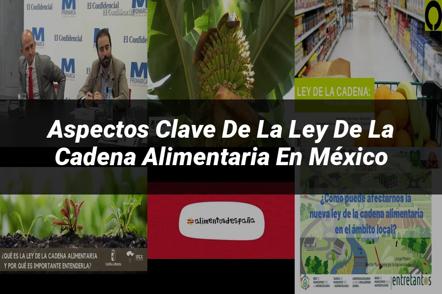 "Aspectos Clave de la Ley de la Cadena Alimentaria en México"
