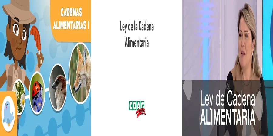 "Aspectos Clave de la Ley de la Cadena Alimentaria en México"