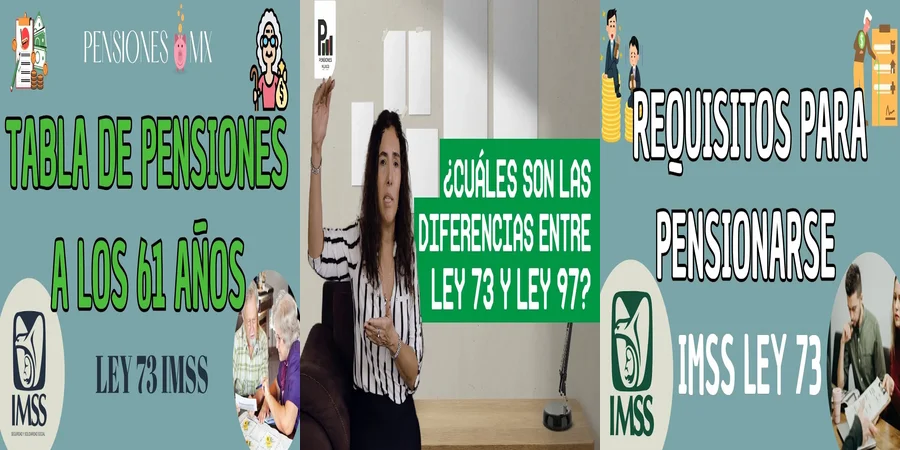 "Aspectos Clave de la Ley del 73 en México para Abogados"