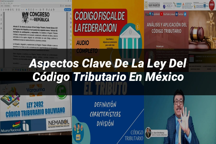 "Aspectos Clave de la Ley del Código Tributario en México"