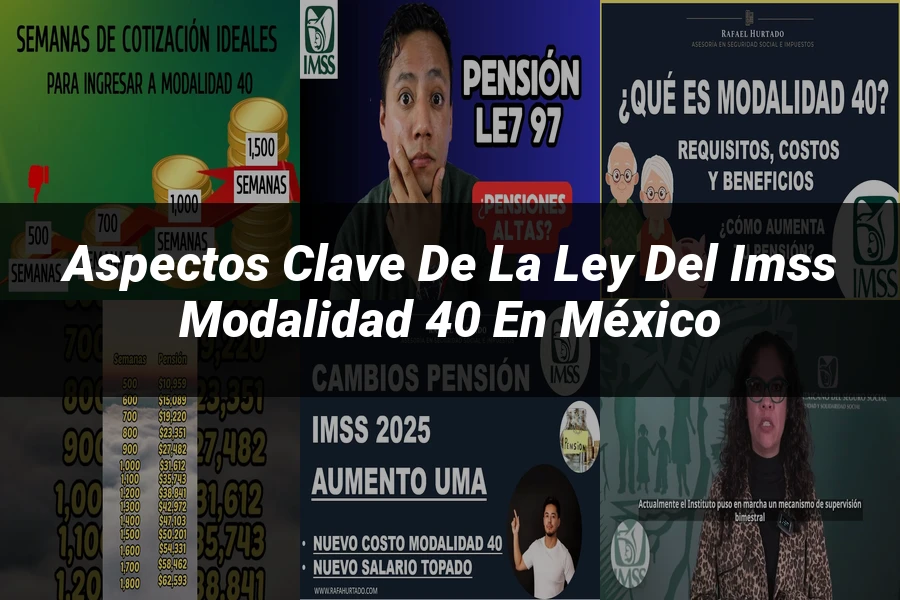 "Aspectos Clave de la Ley del IMSS Modalidad 40 en México"