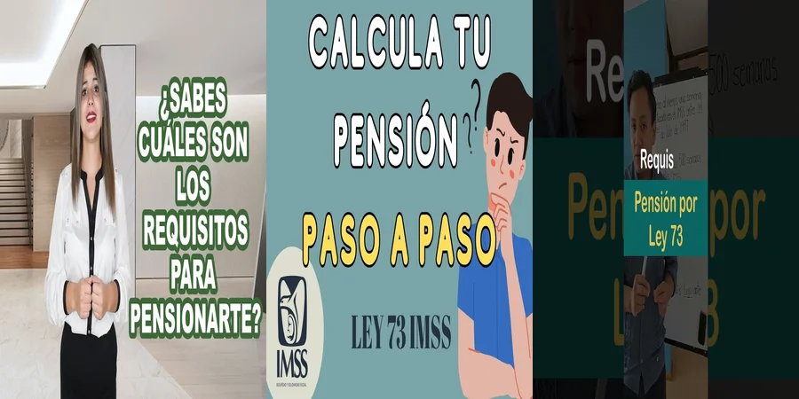 "Aspectos Clave de la Ley del IMSS para Jubilarse en México"