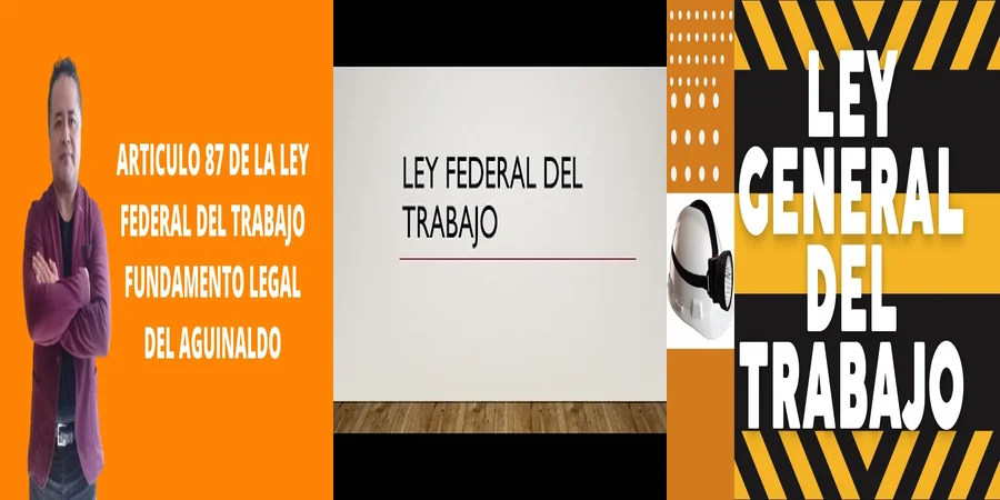 "Aspectos Clave de la Ley del Trabajo en México 2022"