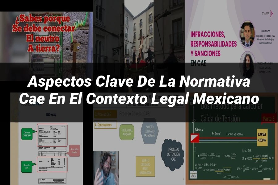 "Aspectos Clave de la Normativa CAE en el Contexto Legal Mexicano"