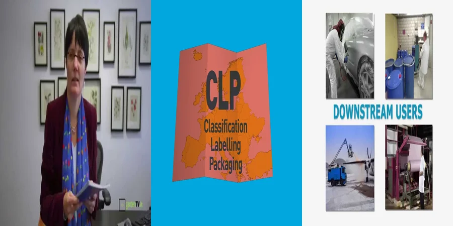 "Aspectos Clave de la Normativa CLP en el Contexto Legal Mexicano"