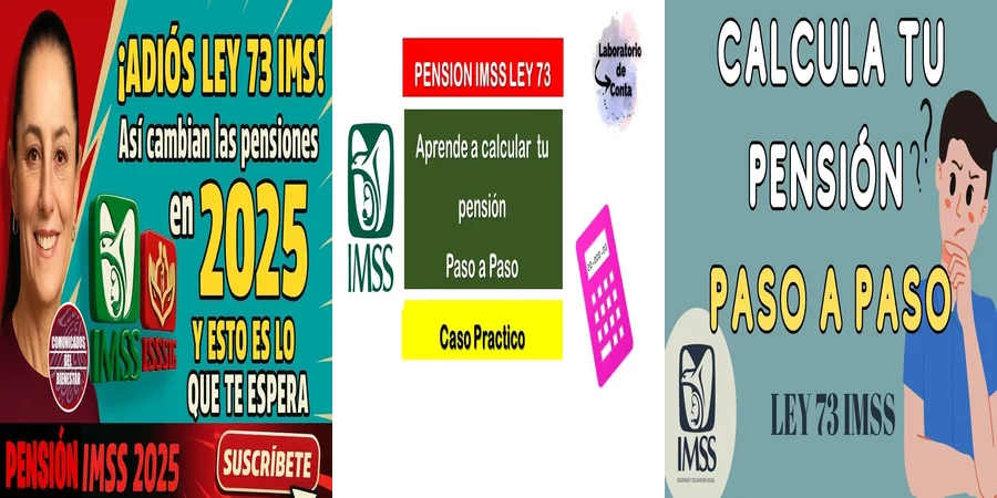 "Aspectos Clave de la Pensión Ley 1973 en el Contexto Mexicano"