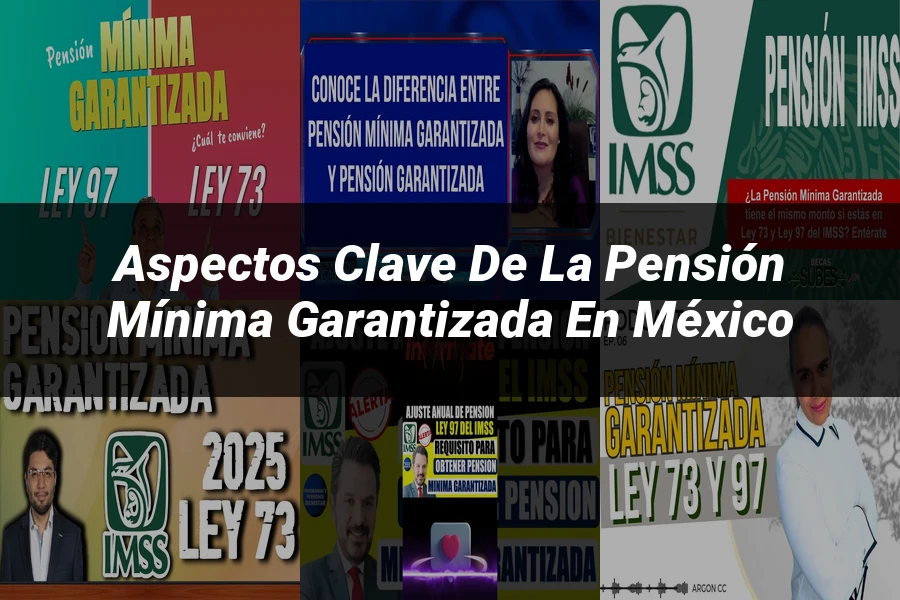 "Aspectos Clave de la Pensión Mínima Garantizada en México"