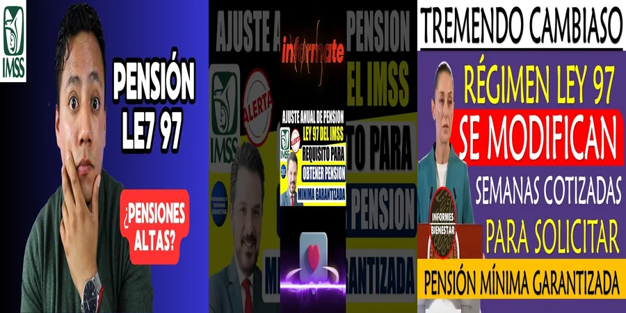 "Aspectos Clave de la Pensión Mínima Garantizada en México"