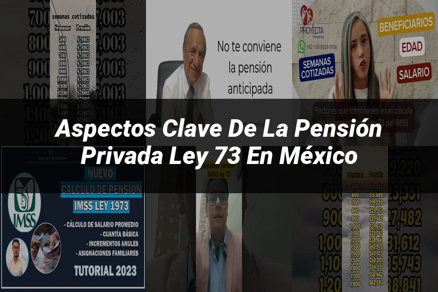 "Aspectos Clave de la Pensión Privada Ley 73 en México"