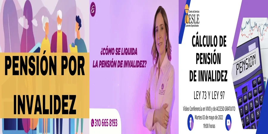 "Aspectos Clave de la Pensión de Invalidez en México"