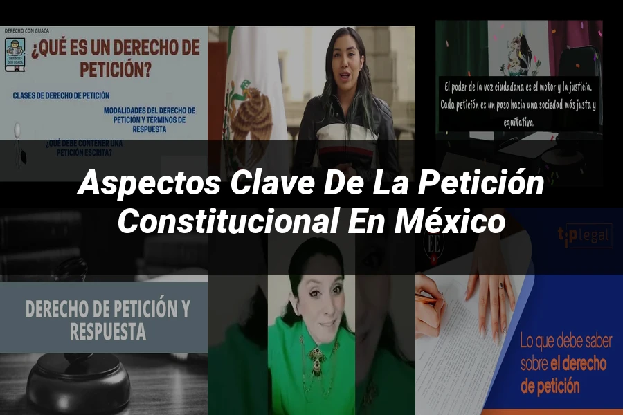 "Aspectos Clave de la Petición Constitucional en México"