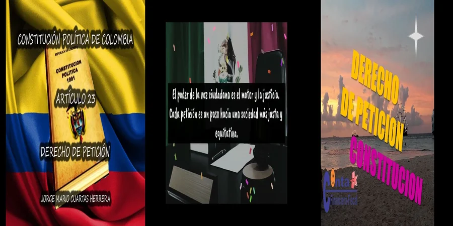 "Aspectos Clave de la Petición Constitucional en México"