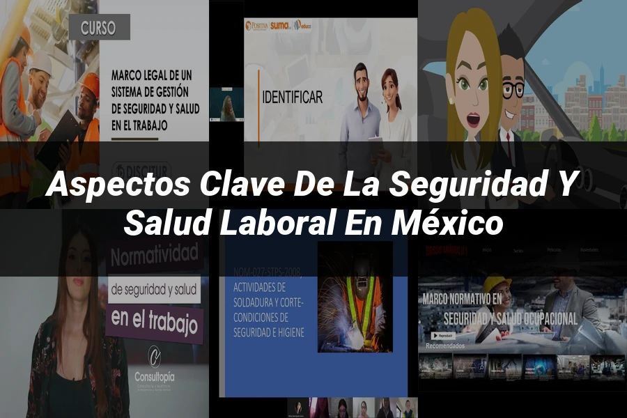"Aspectos Clave de la Seguridad y Salud Laboral en México"