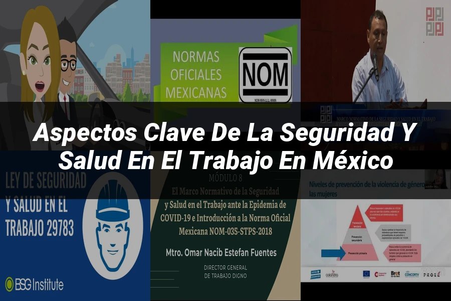"Aspectos Clave de la Seguridad y Salud en el Trabajo en México"