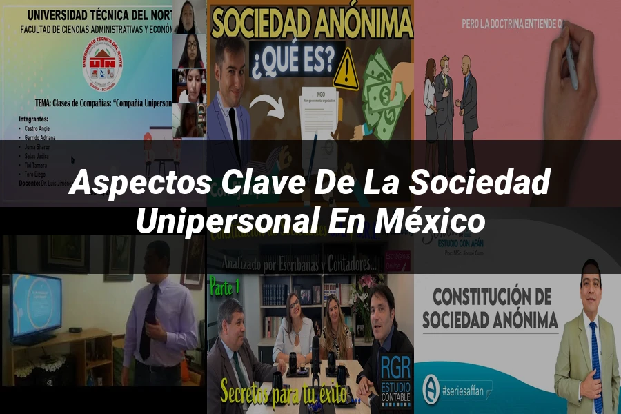 "Aspectos Clave de la Sociedad Unipersonal en México"