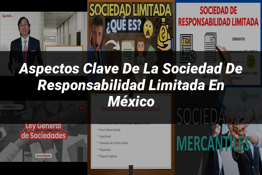 "Aspectos Clave de la Sociedad de Responsabilidad Limitada en México"