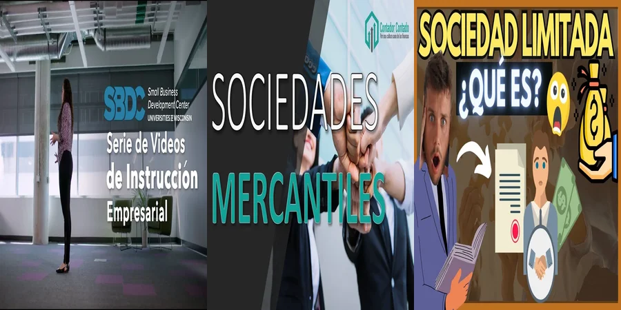 "Aspectos Clave de la Sociedad de Responsabilidad Limitada en México"